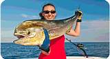 Deep Sea Fishing Key West Fl Images