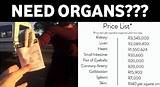 Black Market Organ Prices Photos