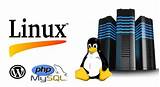 Best Linux For Web Hosting Pictures