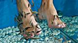 Pictures of Fish Foot Pedicure