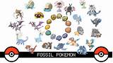 New Fossil Pokemon Pictures