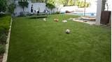 Pros And Cons Of Residential Artificial Grass