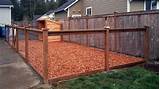 In Ground Fencing For Dogs Pictures