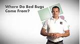 Pictures of A Quick Way To Get Rid Of Bed Bugs