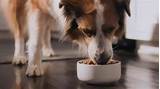 Images of Beneful Dog Food Commercial Voice