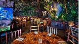 Rainforest Cafe Reservations Orlando Images
