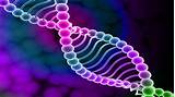 Images of Online Genetics Course For College Credit