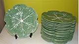 Photos of Cabbage Dinner Plates