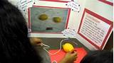 Fruit Electricity Science Project Images