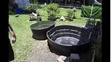 Pictures of Diy Backyard Pool Landscaping