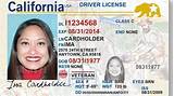 California Class M License Photos