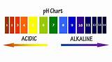 How To Ph Balance Water For Plants Photos
