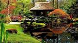 Backyard Japanese Garden Design Pictures