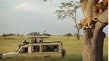Best Safari Park In Kenya Pictures