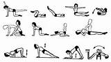 Images of Pelvic Muscle Strengthening Exercises