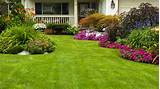 Lawn And Order Landscaping Images