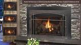 Photos of Vent Free Gas Fireplace Insert With Blower