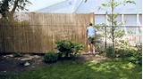Photos of Wood Fencing With Wire