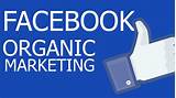 Gary Vaynerchuk Facebook Marketing Pictures