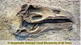 Images of Pictures Of A Dinosaur Fossil