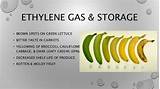 Photos of Ethylene Gas Fruit