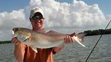 Everglades City Charter Fishing Images
