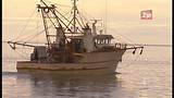 Commercial Trawlers For Sale