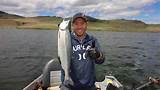 Sockeye Salmon Fishing Tips Photos