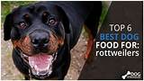 Images of What Is The Best Dog Food On The Market Today