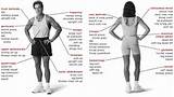Workouts Muscle Groups Pictures