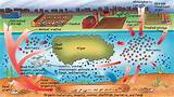 Photos of Effects Of Smelling Natural Gas