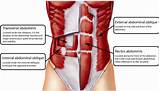 Pictures of Core Muscles Pictures