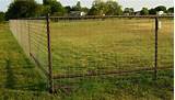 Images of How To Build A Pipe Fence Cattle