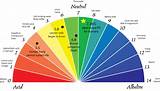 How To Keep My Ph Balance Normal Photos