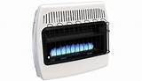 Blue Flame Vent Free Gas Space Heater