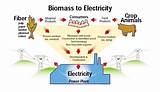 Pictures of Biomass Is It Renewable