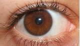 Eye Makeup Colors For Brown Eyes Photos
