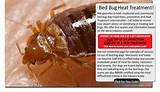 How Much Does Thermal Heat Treatment For Bed Bugs Cost
