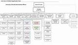 Florida Department Of Financial Services Org Chart Pictures