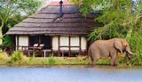 Images of Best Kruger Park Lodges