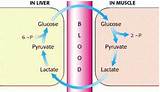 Pictures of Lactic Acid Build Up Treatment