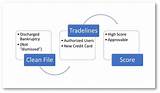 Images of Credit Trade Lines Definition