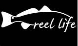 Images of Fishing Tackle Decals