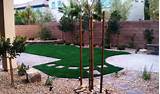 Images of Yard Design For Dogs