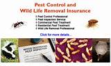 Wildlife Control Insurance Images