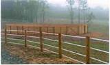 Images of Electric Web Fencing