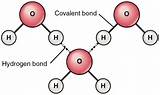 Hydrogen Atom Form An Ionic Bond Pictures