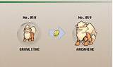 Does Growlithe Evolve Images