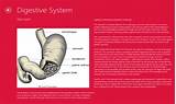 Human Anatomy Software Photos
