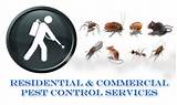 Pest Control Services Nj Images